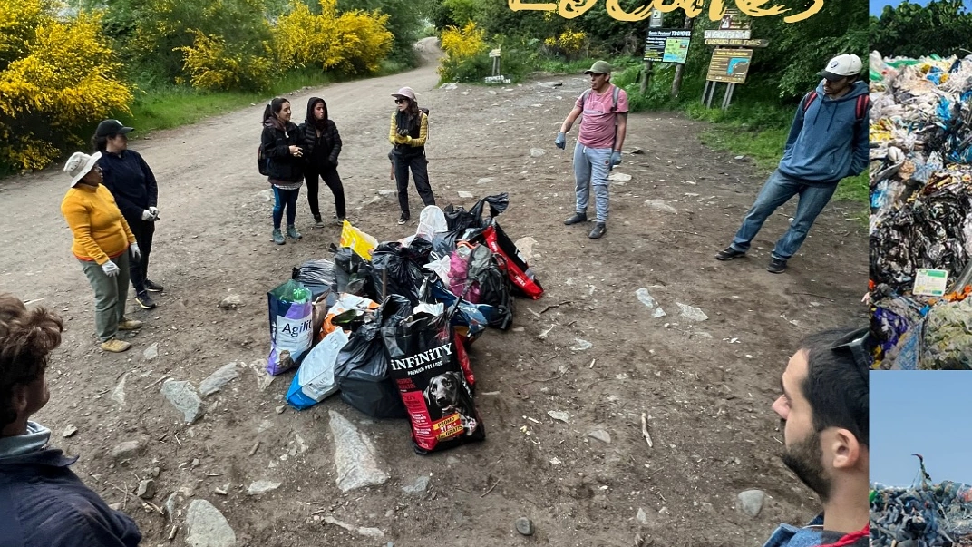 Acciones locales de cuidado ambiental